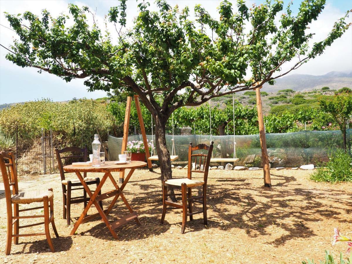 Traditional Cretan Villa Rodhopos ภายนอก รูปภาพ