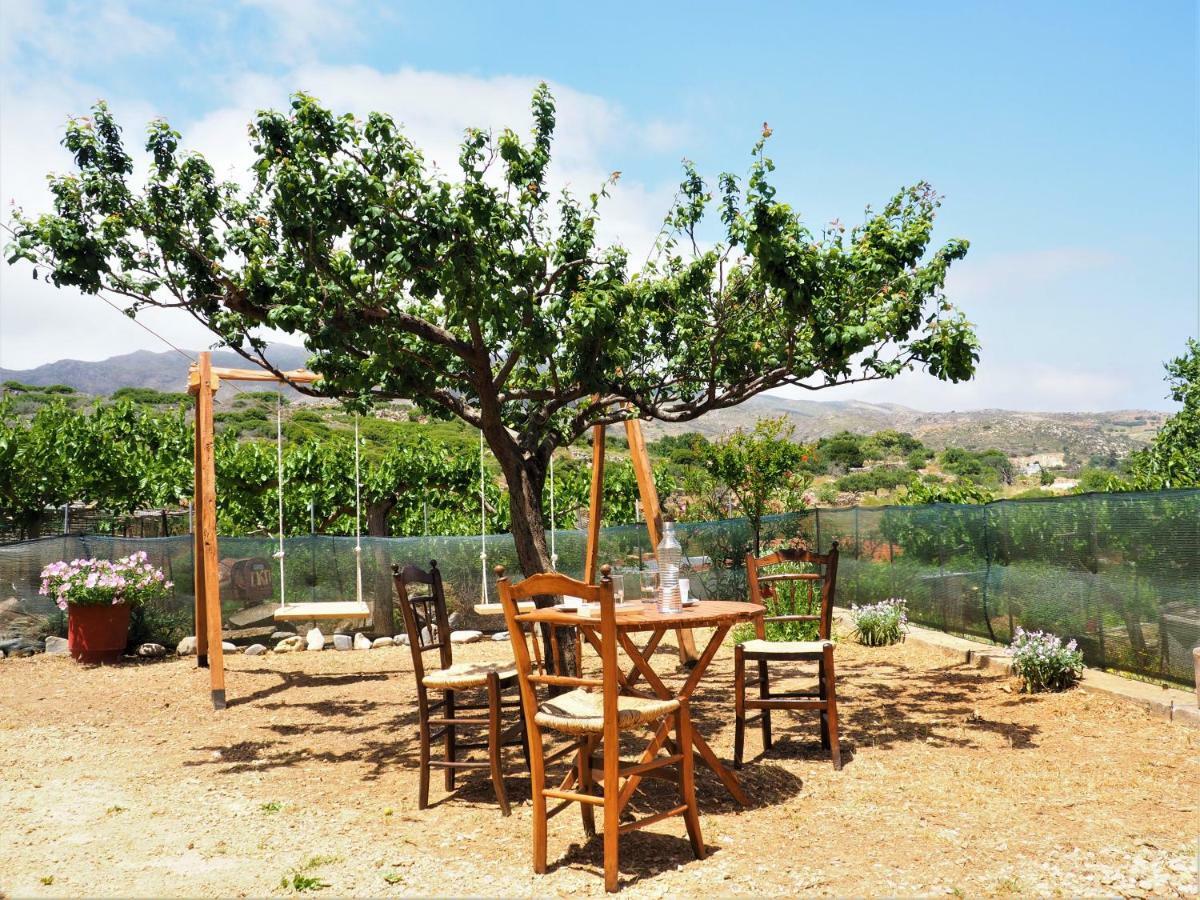Traditional Cretan Villa Rodhopos ภายนอก รูปภาพ